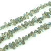 Labradorite Side Drill Drop Faceted Beads